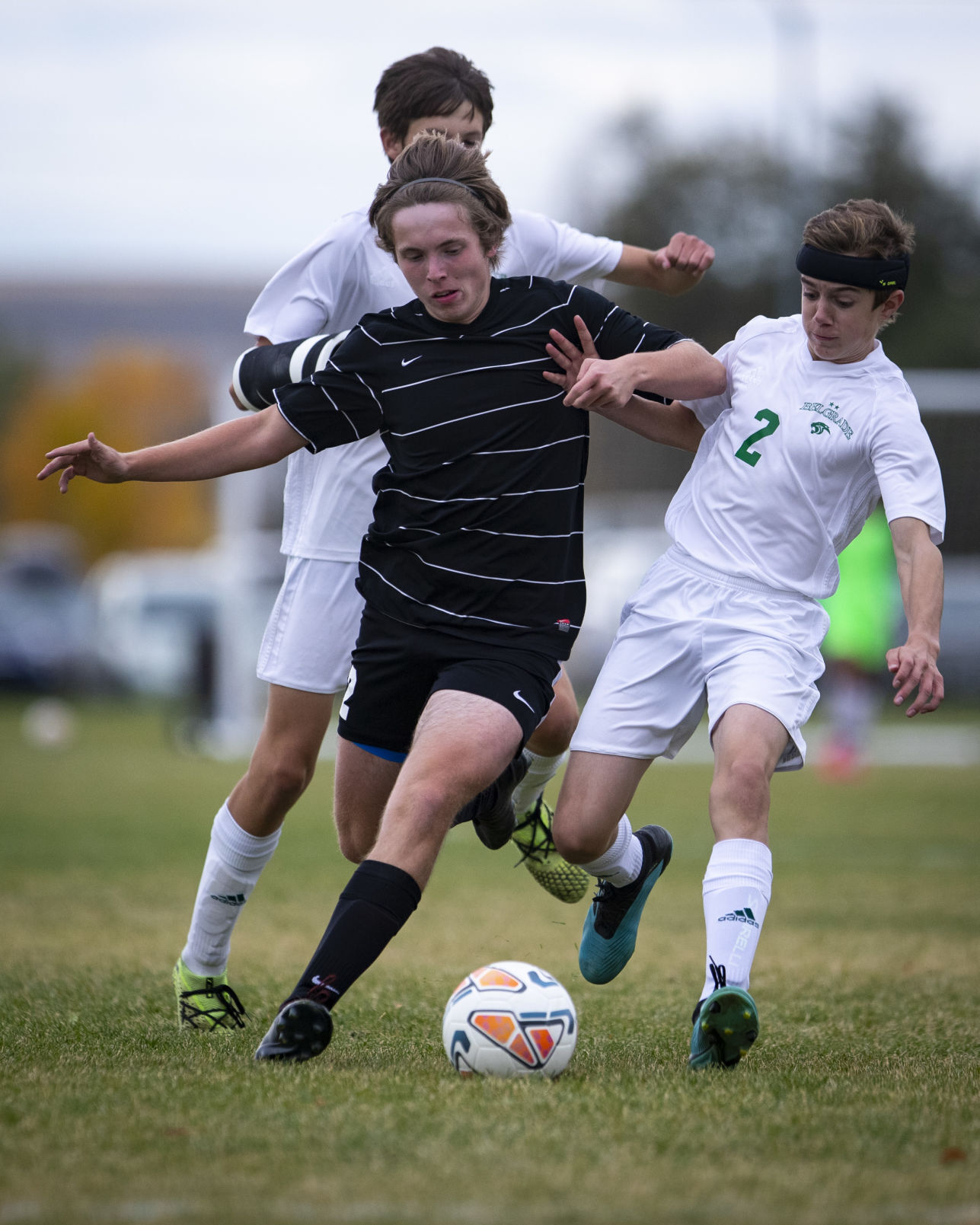 Billings Senior vs. Belgrade